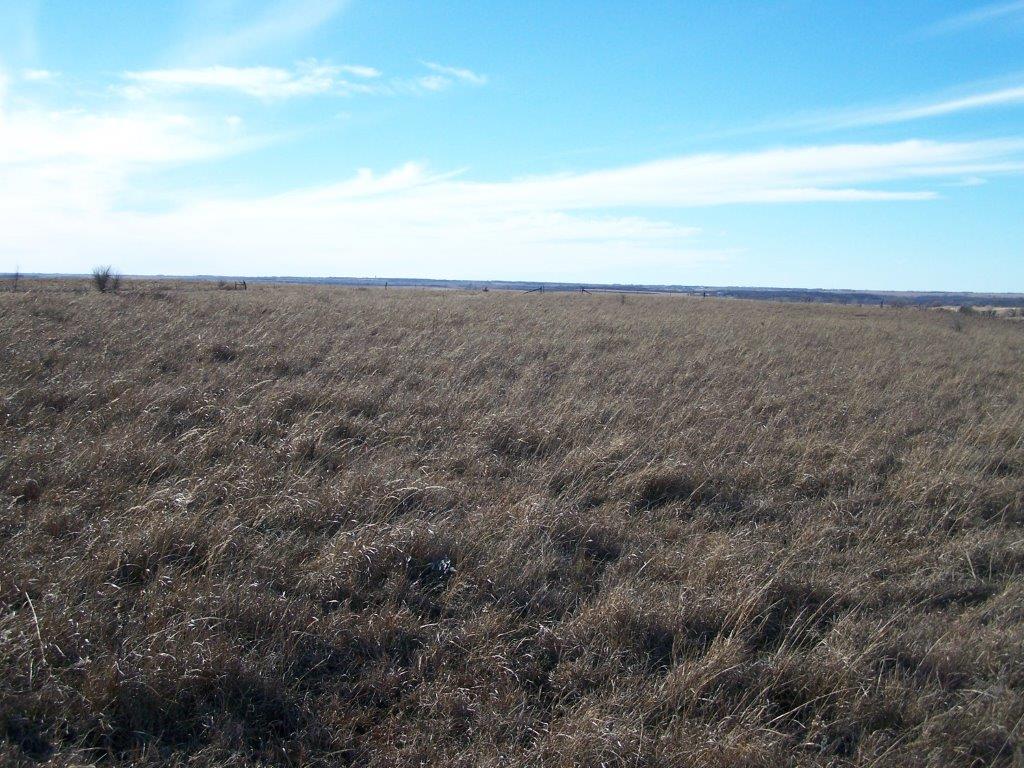 Alexander Estate Auction by Cline Realty & Auction