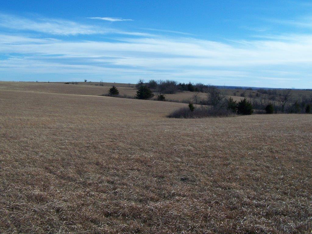 Alexander Estate Auction by Cline Realty & Auction