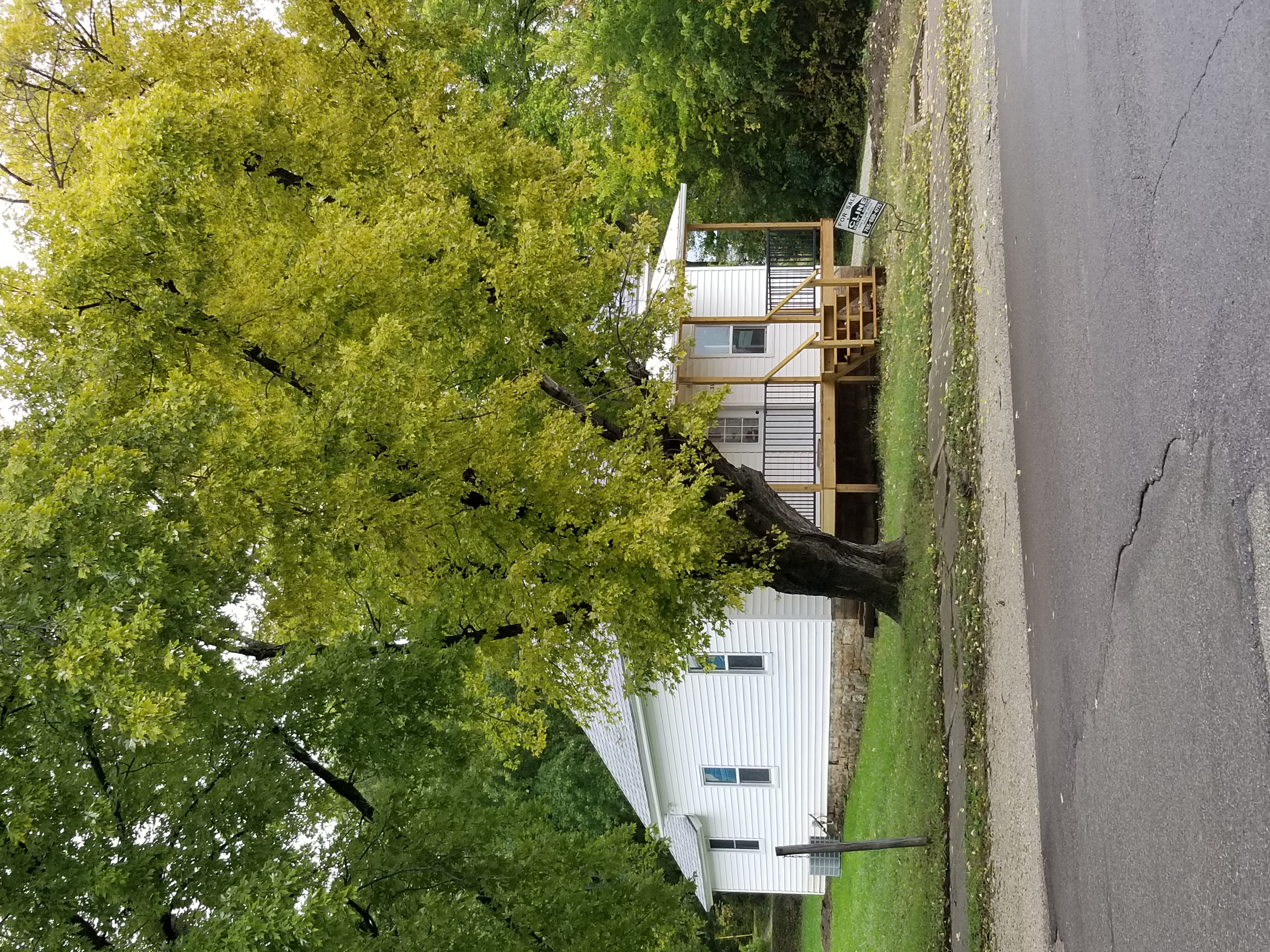 Cline Realty & Auction